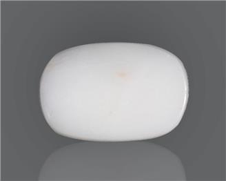 Natural White Coral  9.28 CTS (50135)